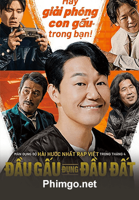 Đầu Gấu Đụng Đầu Đất